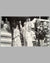 1955 Grand Prix of Monaco photographic print, hand autographed by Trintignant 2