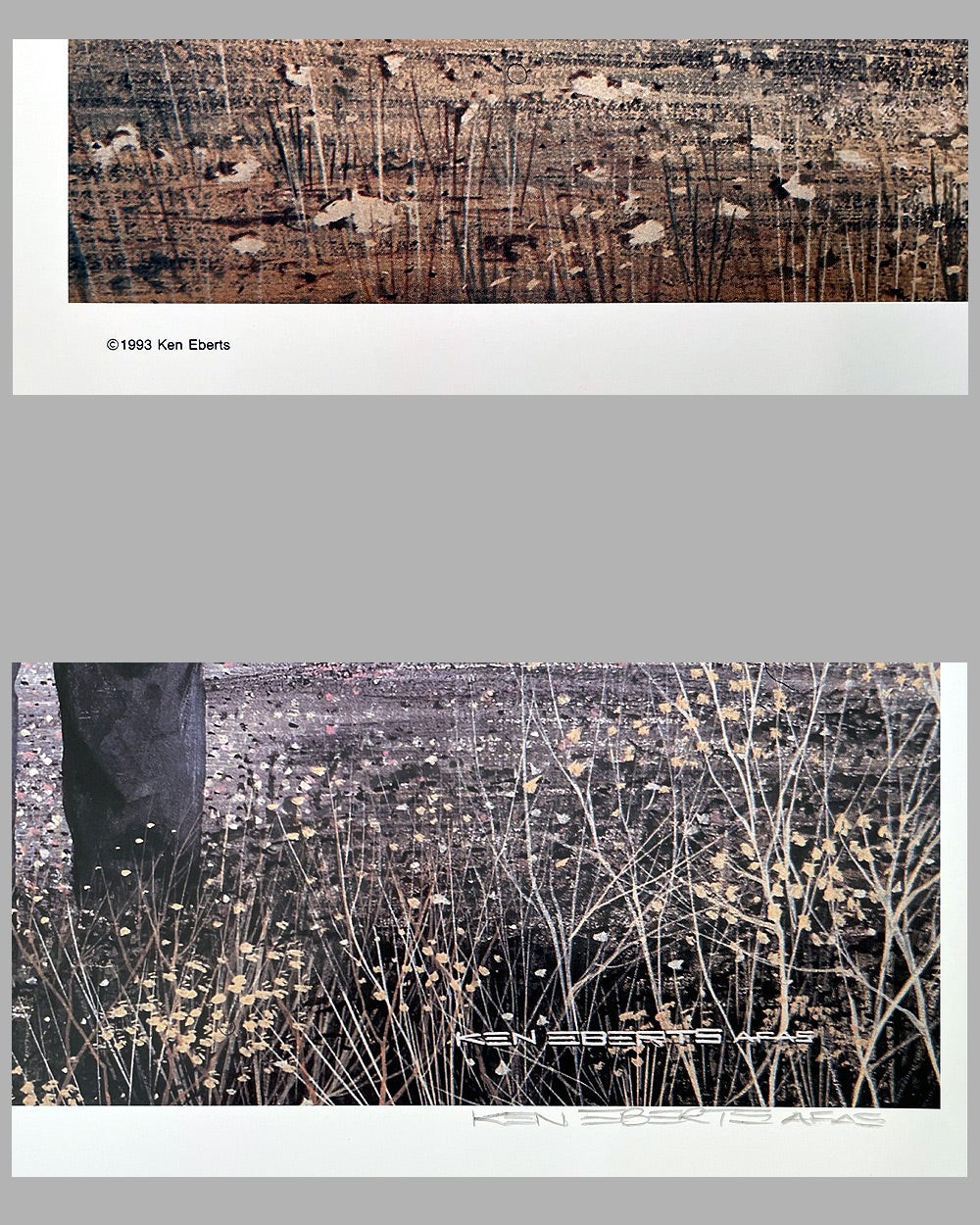 The long wheel base Ferrari 250 California Spider print by Ken Eberts, 1993 3