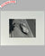 Ferrari 250 GTO #4153 at Le Mans in 1963 for Écurie Francorchamps b&w photograph
