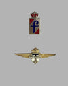 Collection of 2 vintage Pininfarina and Carrozzeria Touring lapel pins from the personal collection of Briggs Cunningham