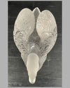 Swan with head up frosted crystal sculpture by Rene Lalique 4