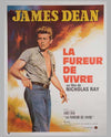 James Dean - La Fureur de Vivre original movie poster