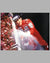 Color photographs of Ayrton Senna and his McLaren MP4 Honda 2